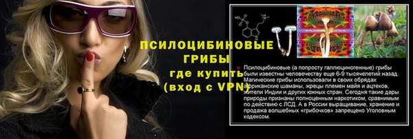 МДПВ Иннополис